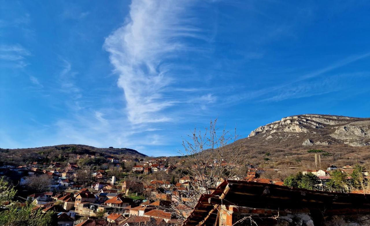 Konak Ramonda Serbika Nis Bagian luar foto