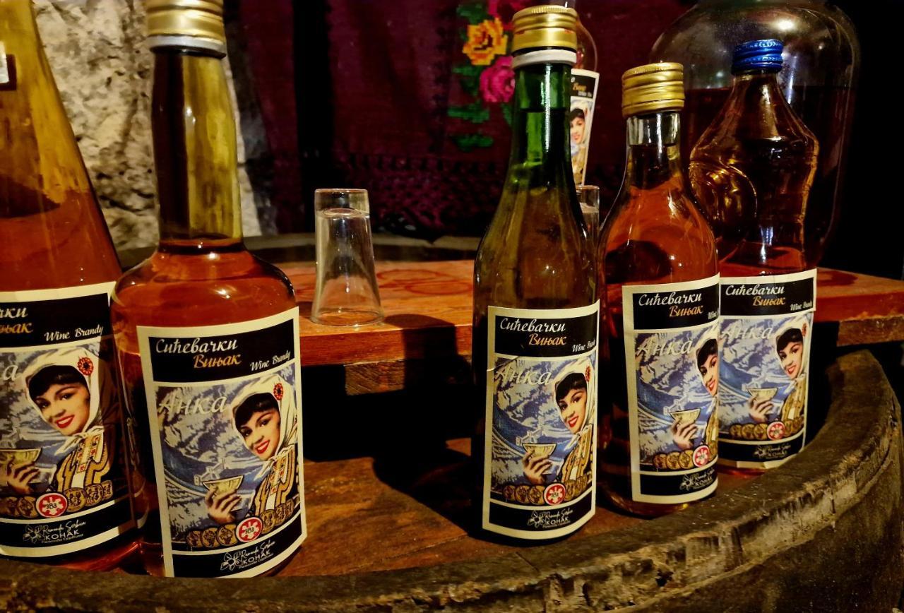 Konak Ramonda Serbika Nis Bagian luar foto