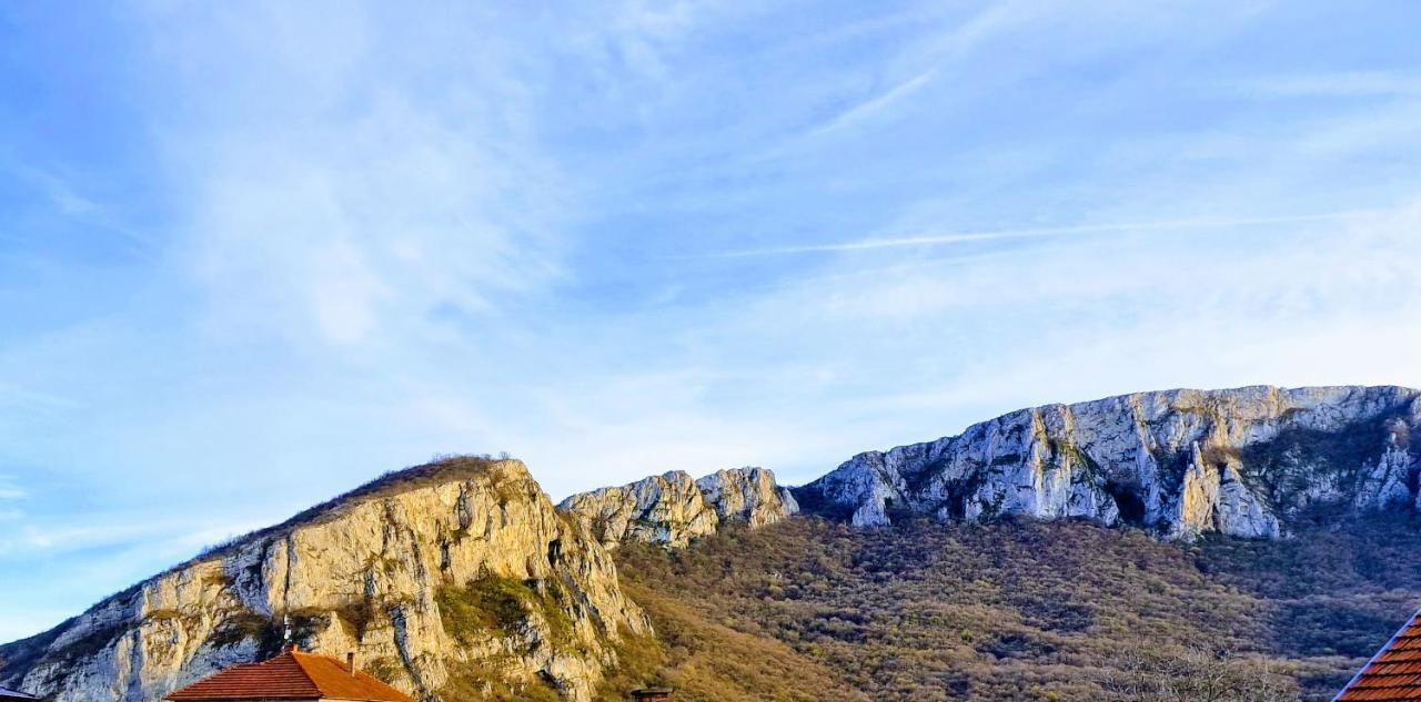 Konak Ramonda Serbika Nis Bagian luar foto