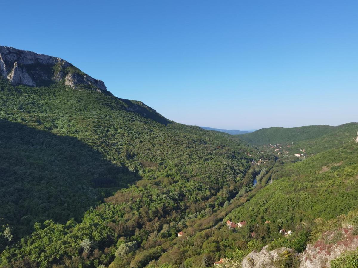 Konak Ramonda Serbika Nis Bagian luar foto