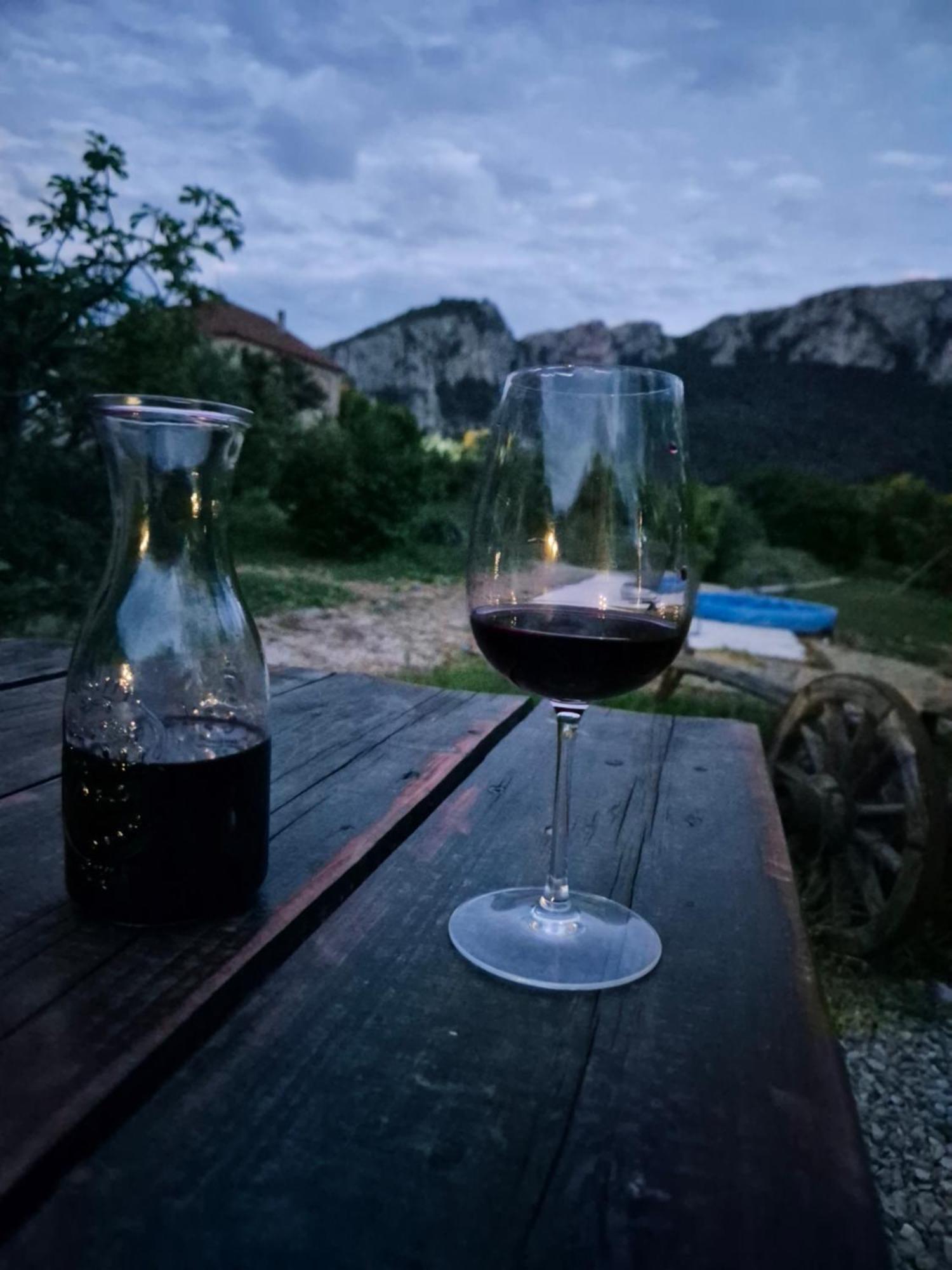 Konak Ramonda Serbika Nis Bagian luar foto