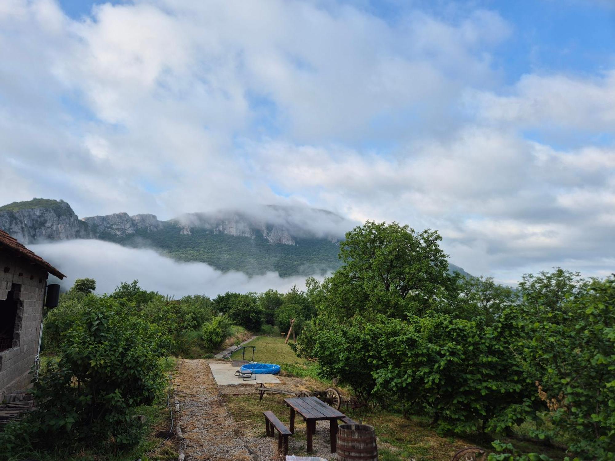 Konak Ramonda Serbika Nis Ruang foto